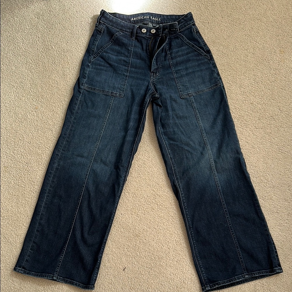 Sz 6 short American Eagle Outfitters Dreamy Drape High Waisted Wide Leg Jean